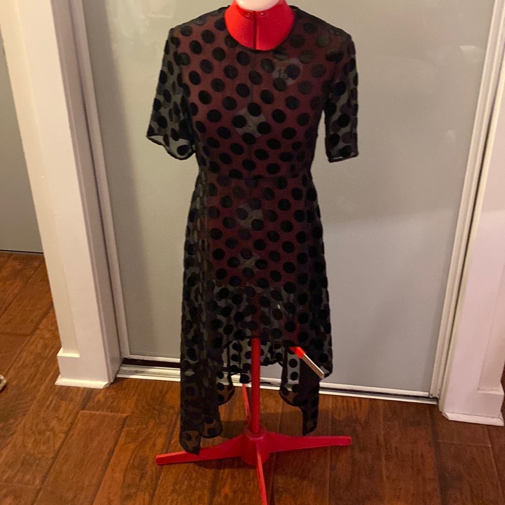 Zara sheer & flocked velvet dress with asymmetrical hem. Black size xs